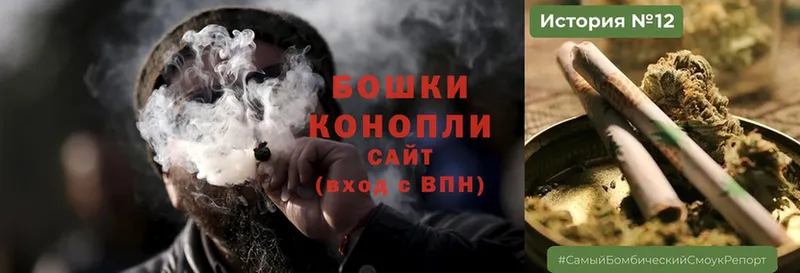 Бошки Шишки THC 21%  где можно купить   Боровск 